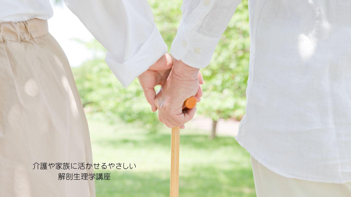 介護や家族に活かせるやさしい解剖生理学講座
