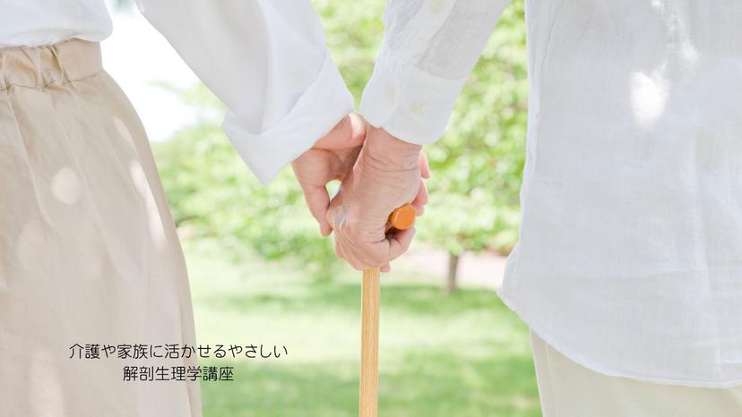 介護や家族に活かせるやさしい解剖生理学講座