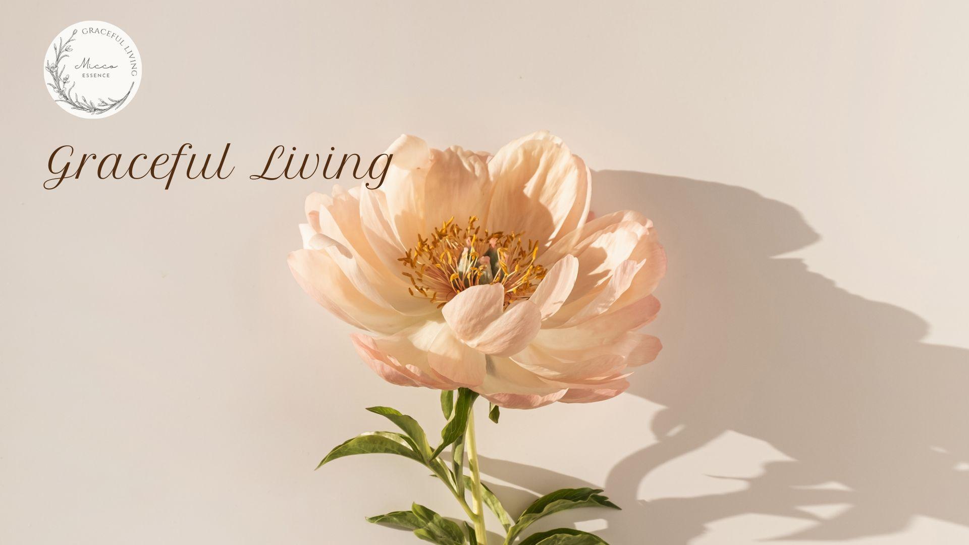 エッセンス研究所の外観写真