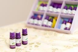 個人相談会（AWBA講師コース）のサロンイメージ